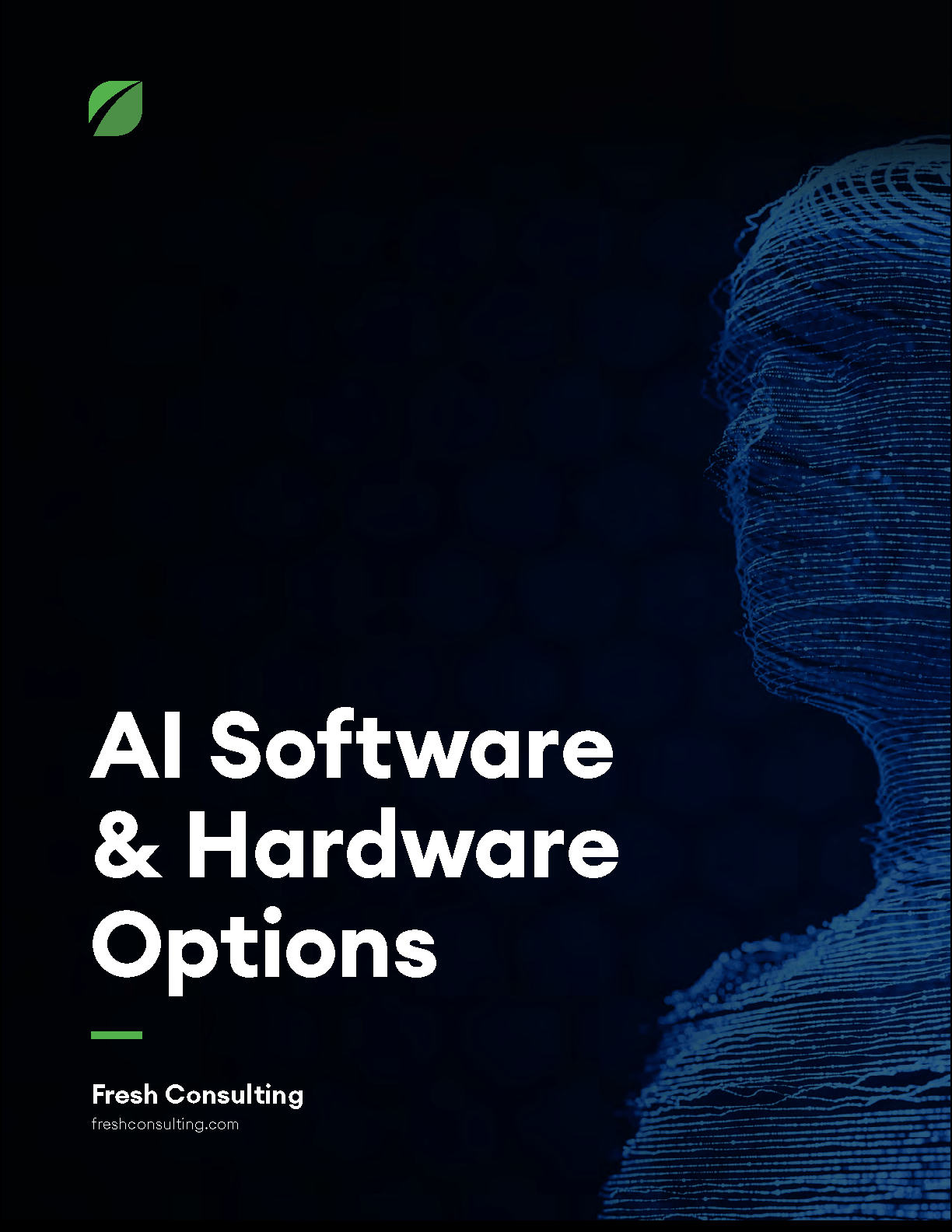 ai-software-hardware-options-fresh-consulting