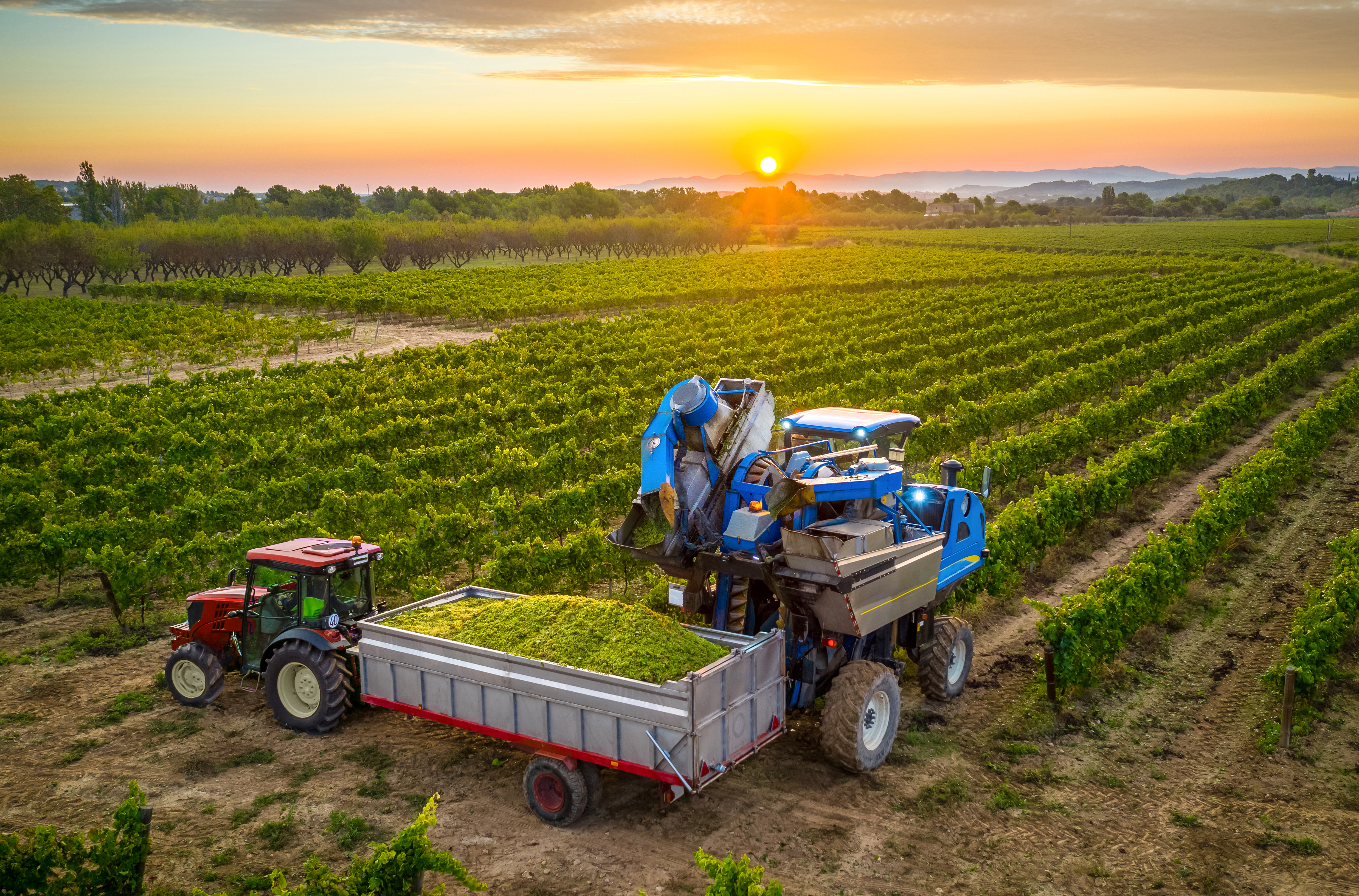 Across the world, robots in agriculture are being adopted and put to use in a variety of unique agricultural applications.