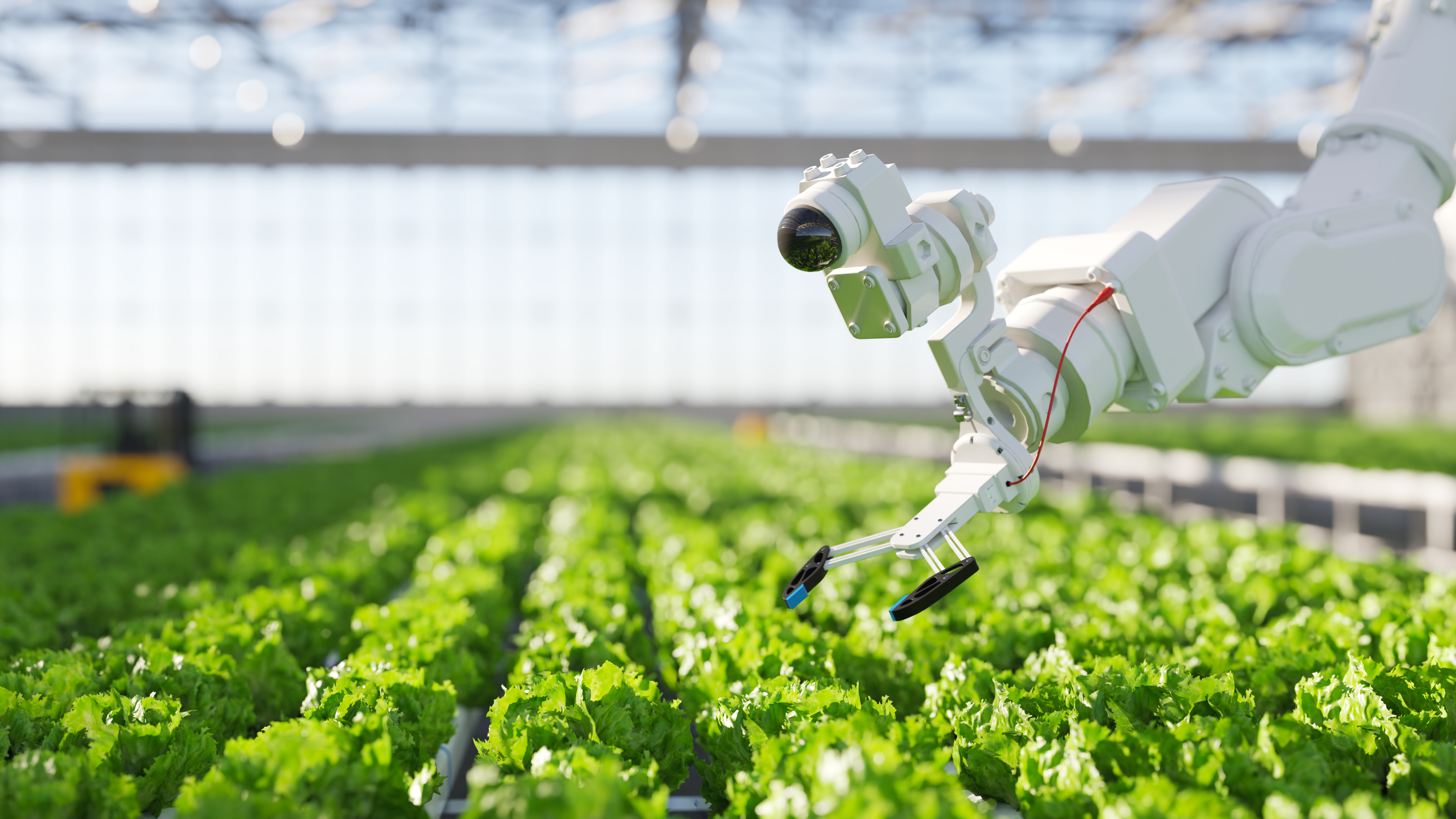 Robotics in agriculture, specifically hydroponic farming, requires a blend of complex sensors and computer vision to enable precision.